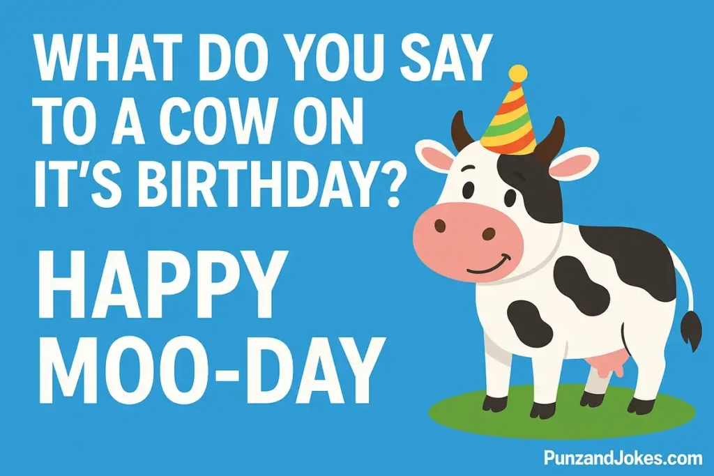 Birthday Puns And Jokes For Kids