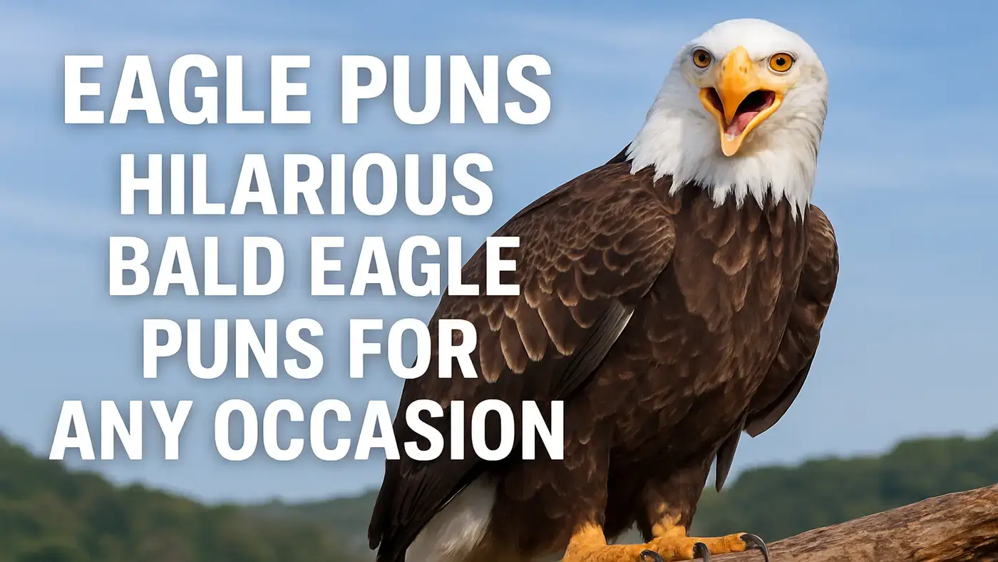 eagle-puns-hilarious-bald-eagle-puns-for-any-occasion