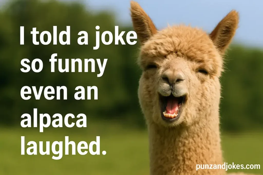 Hilarious Alpaca Jokes That Make People Smile