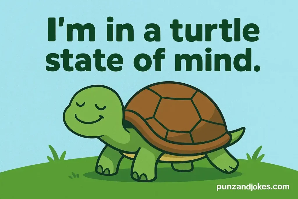 Short Turtle Puns And One Liners