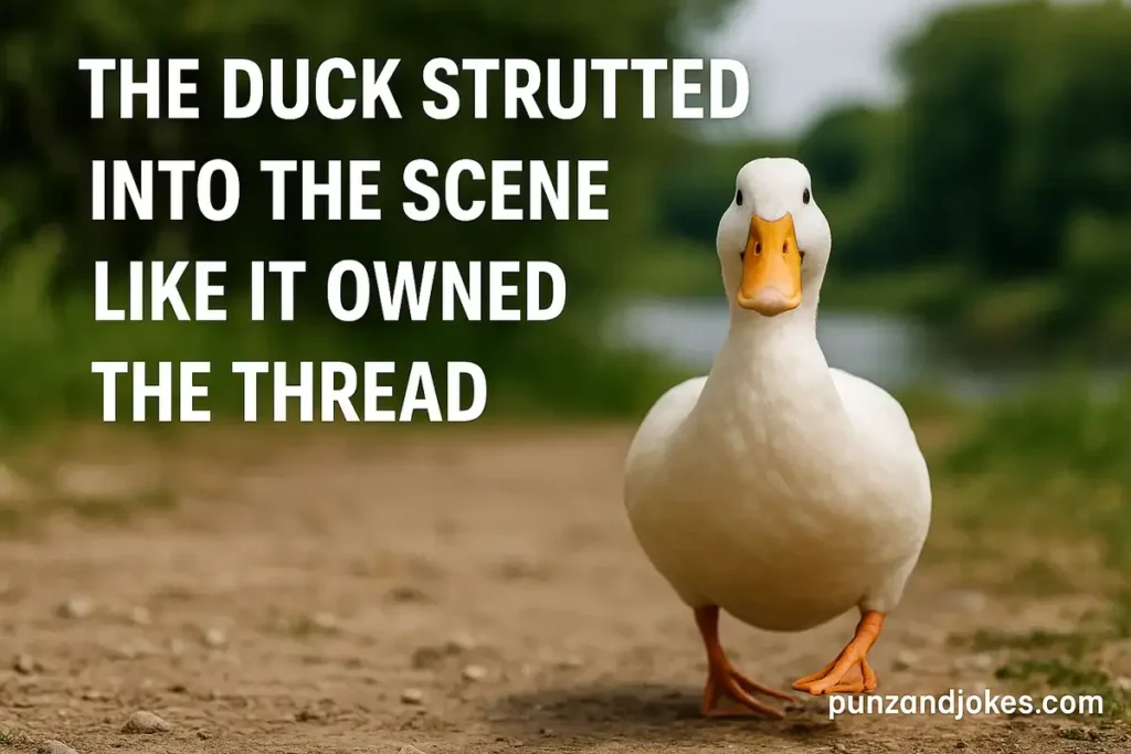Duck humor From Reddit Fans