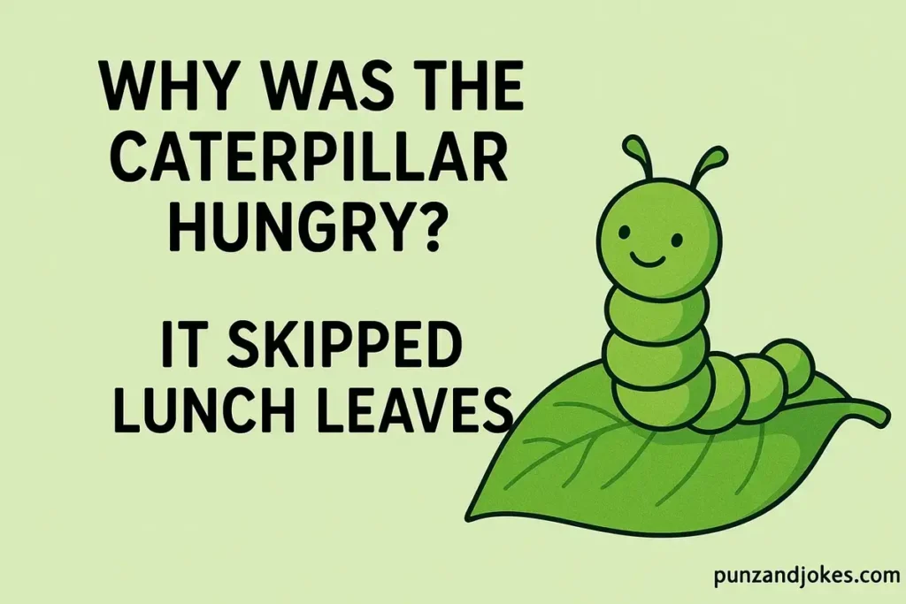 Very Hungry Caterpillar Jokes And Puns