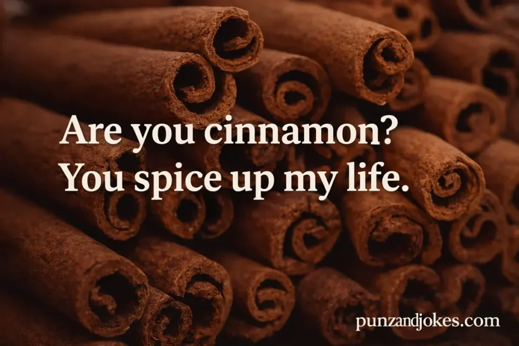 Best Cinnamon Pickup Lines