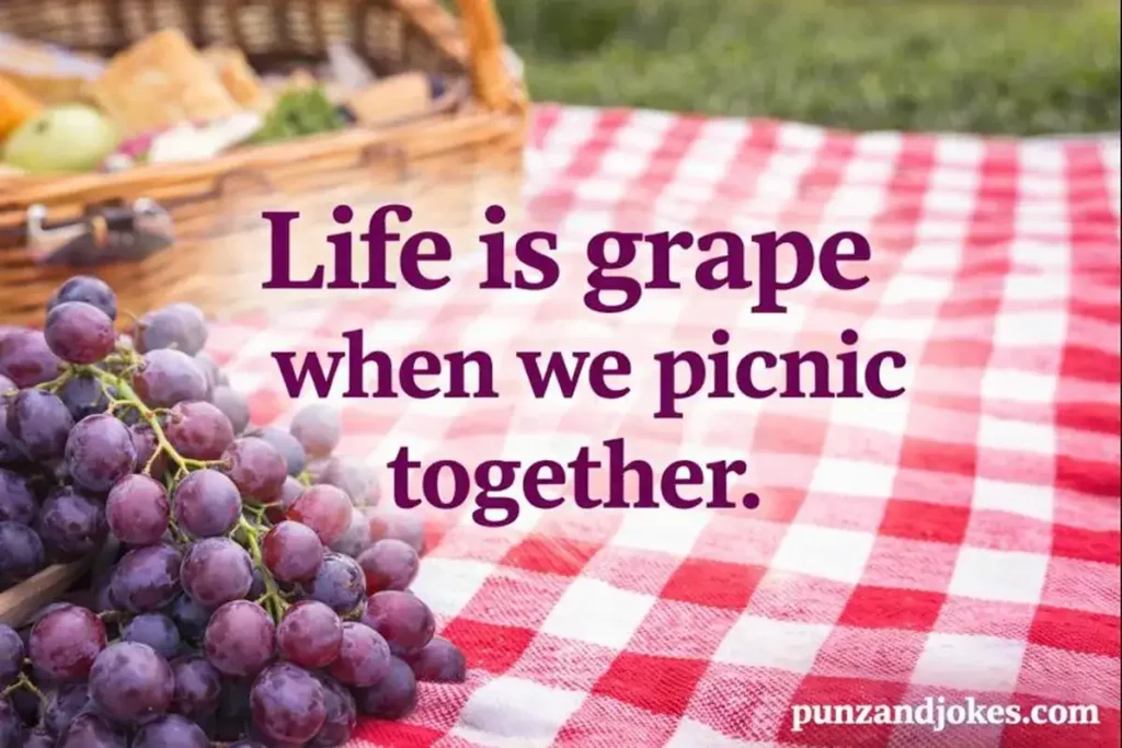 Quick Picnic Puns That Will Make You Smile