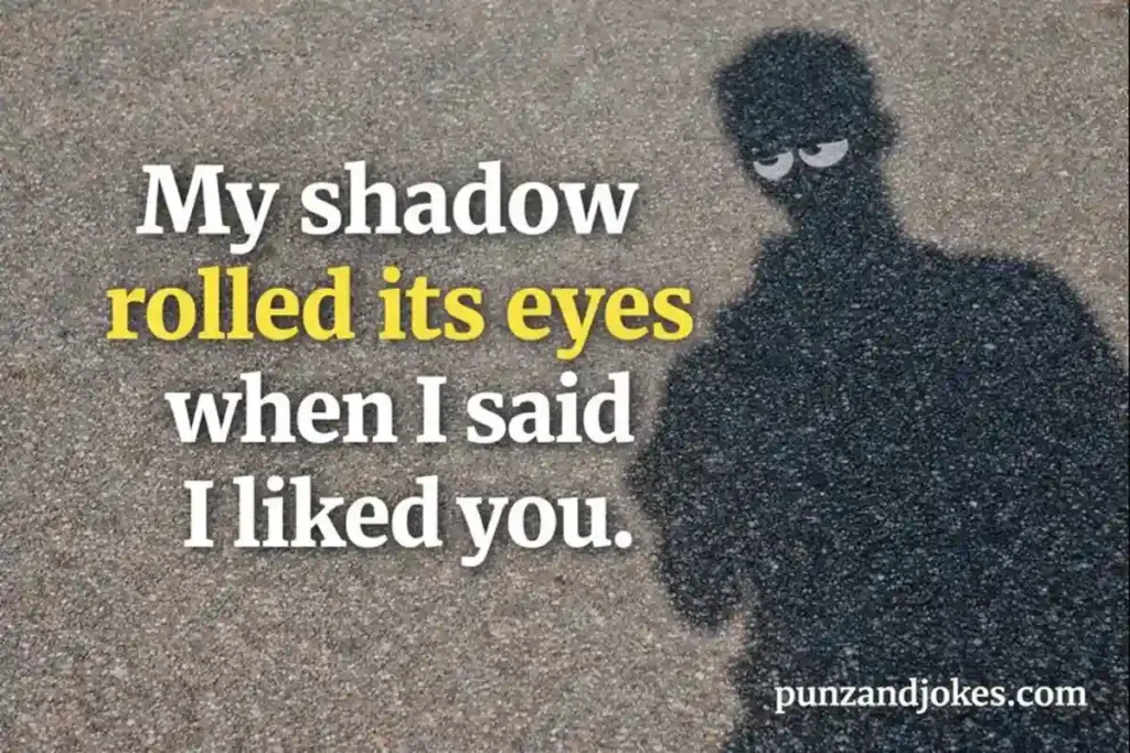 Silly and Playful Shadow Puns For Adults