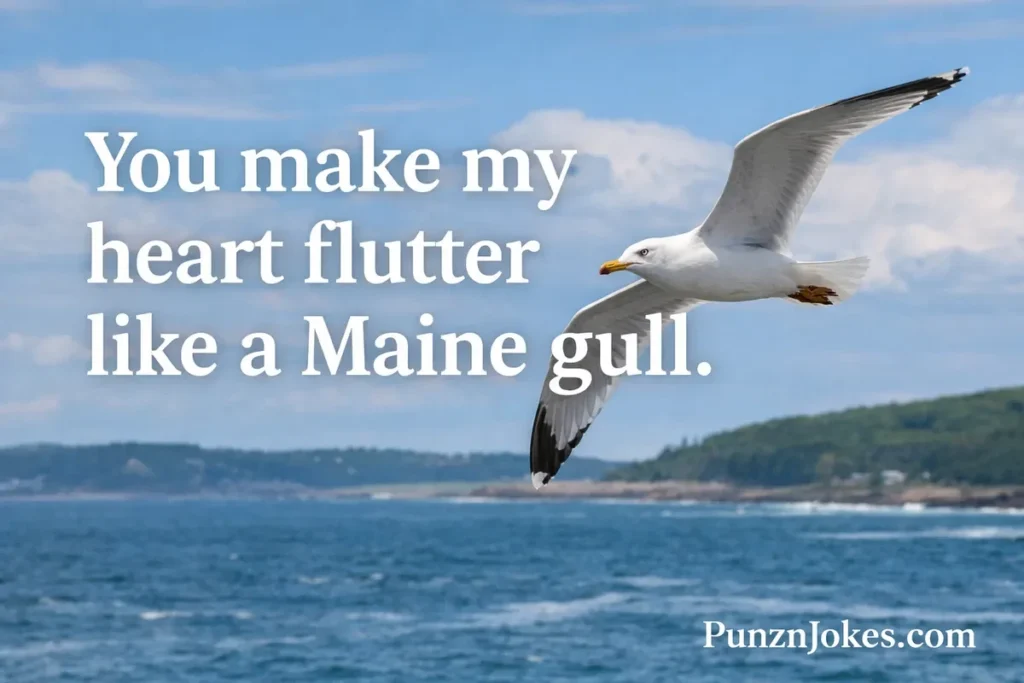 Clever Maine Puns For the Ultimate Wordplay 